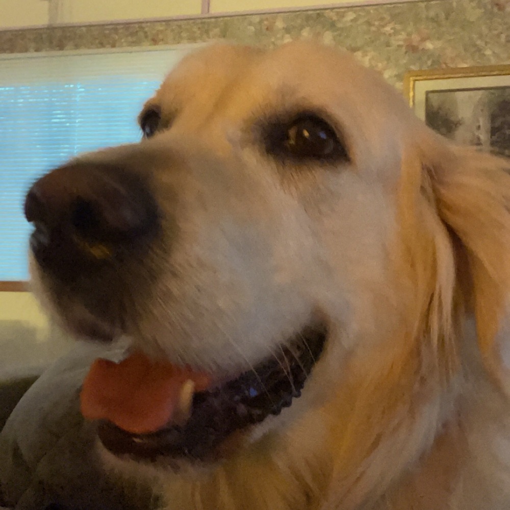 Meet your Posher, Lexie